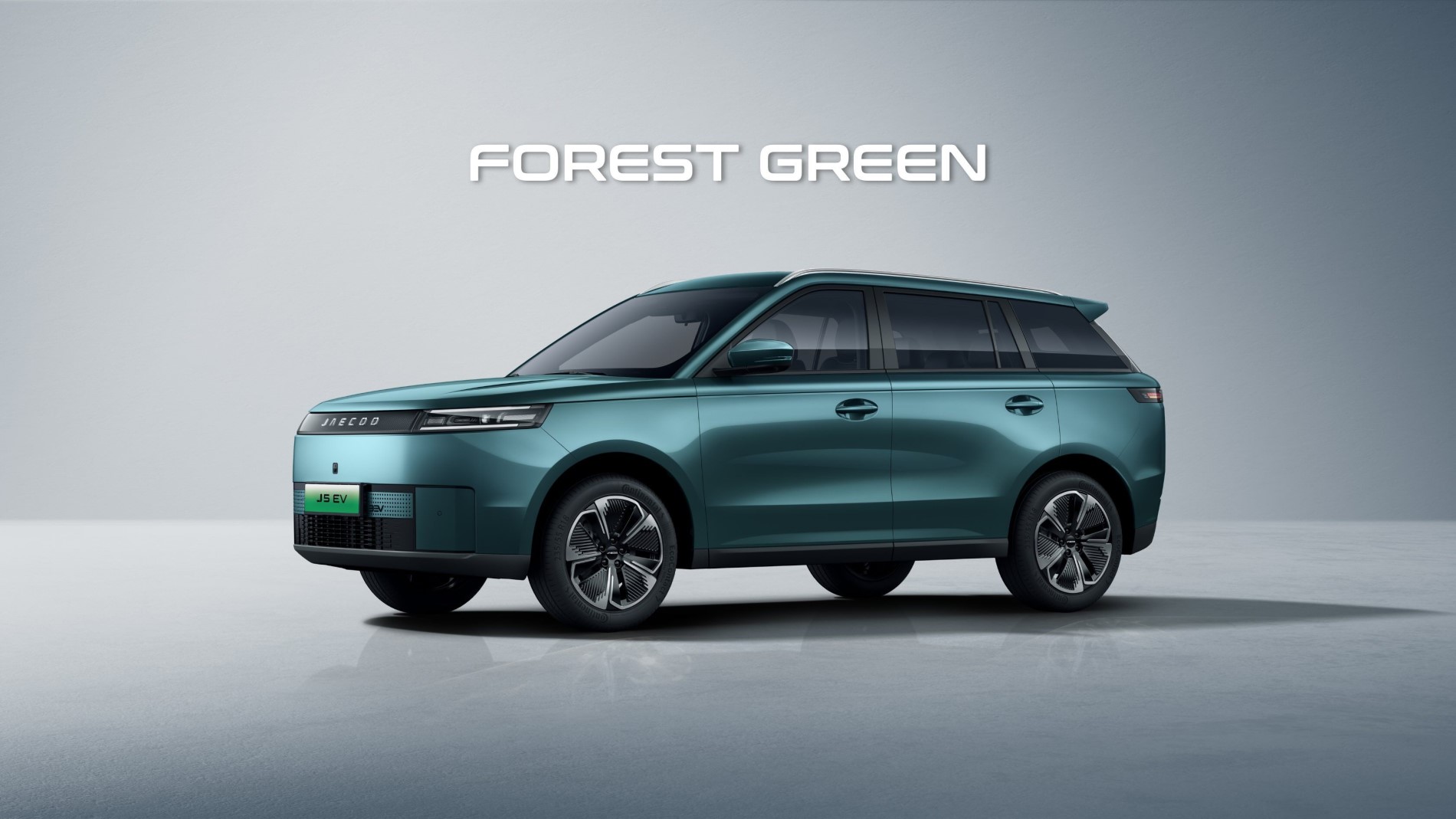 green_forest_0bd184cdb6